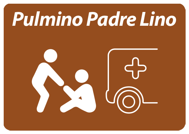 Servizio Pulmino di Padre Lino