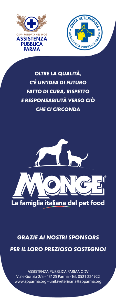 Monge sponsor