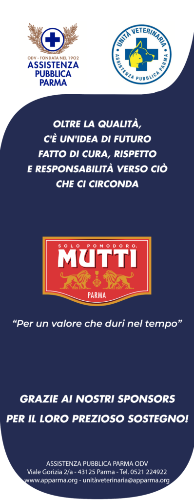 Mutti sponsor
