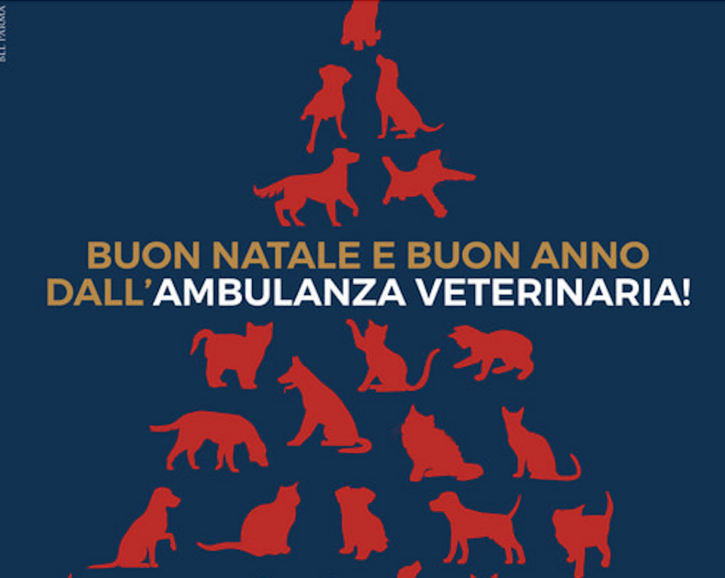 News auguri da unità veterinaria