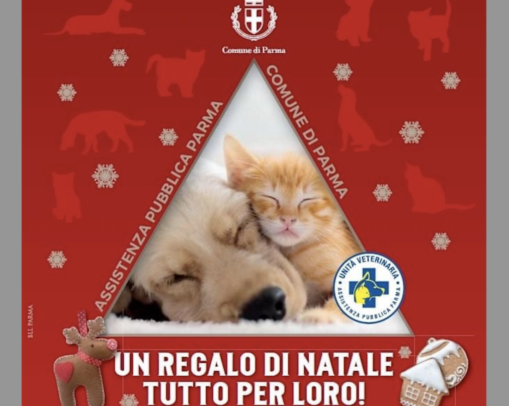 Un regalo di Natale tutto per loro