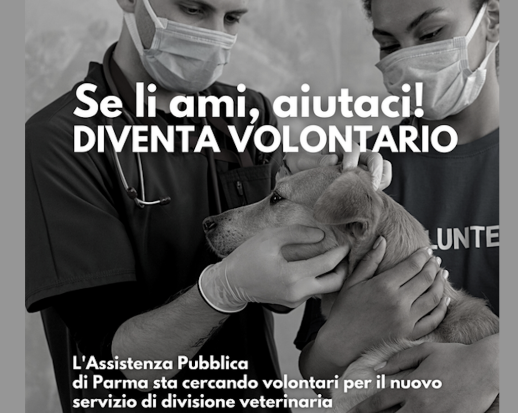 news corso ambulanza veterinaria