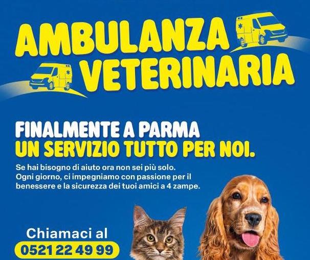 Locandina Corso ambulanza veterinaria 2026